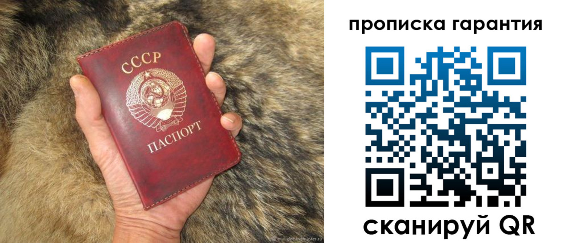 прописка паспорт в Кропоткине